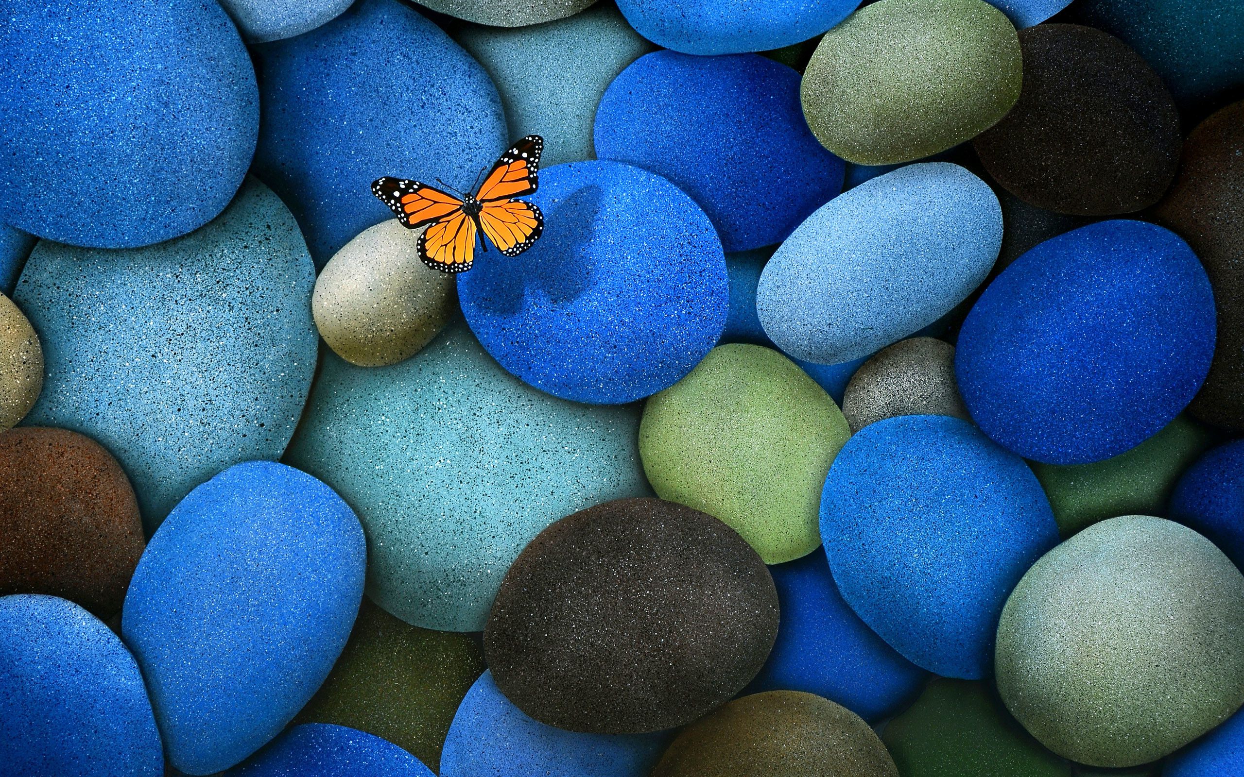 Farfalla arancione su ciottoli blu, 2560x1600 2K+, PC Desktop