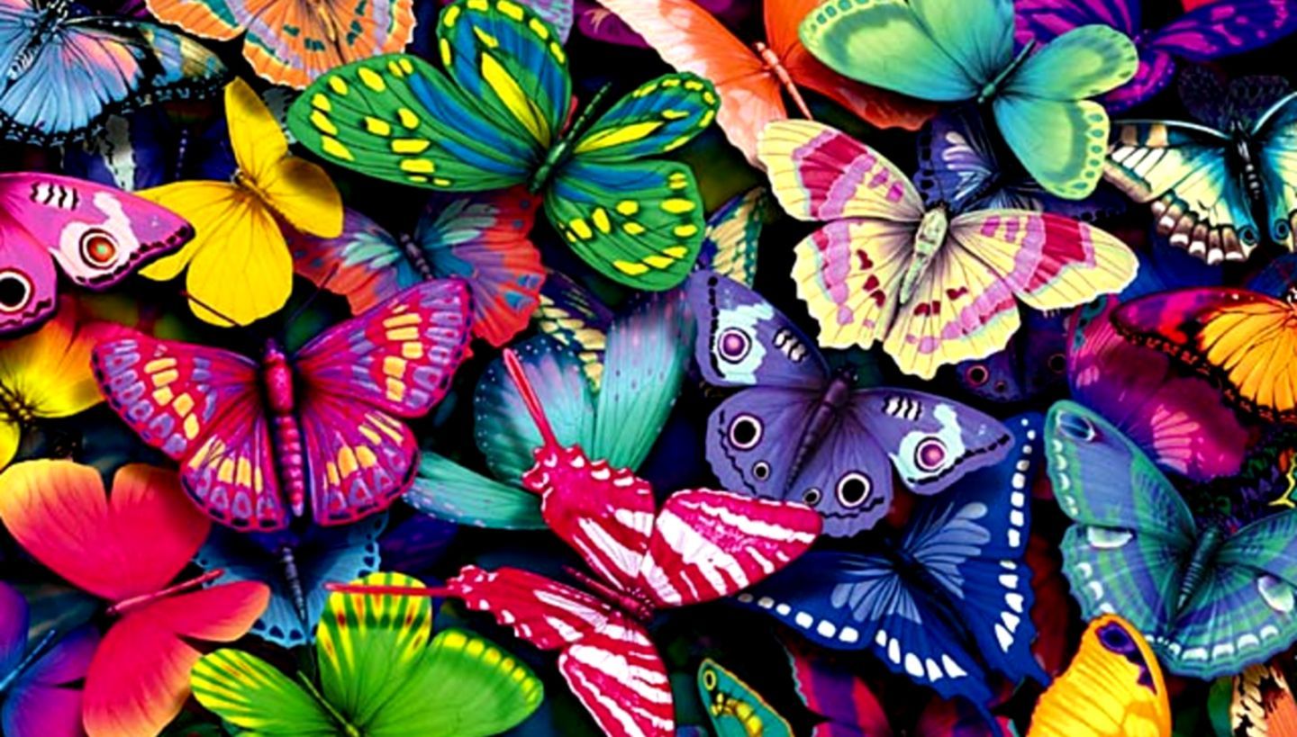 Farfalle colorate multicolore, 1440x819 HD, Desktop