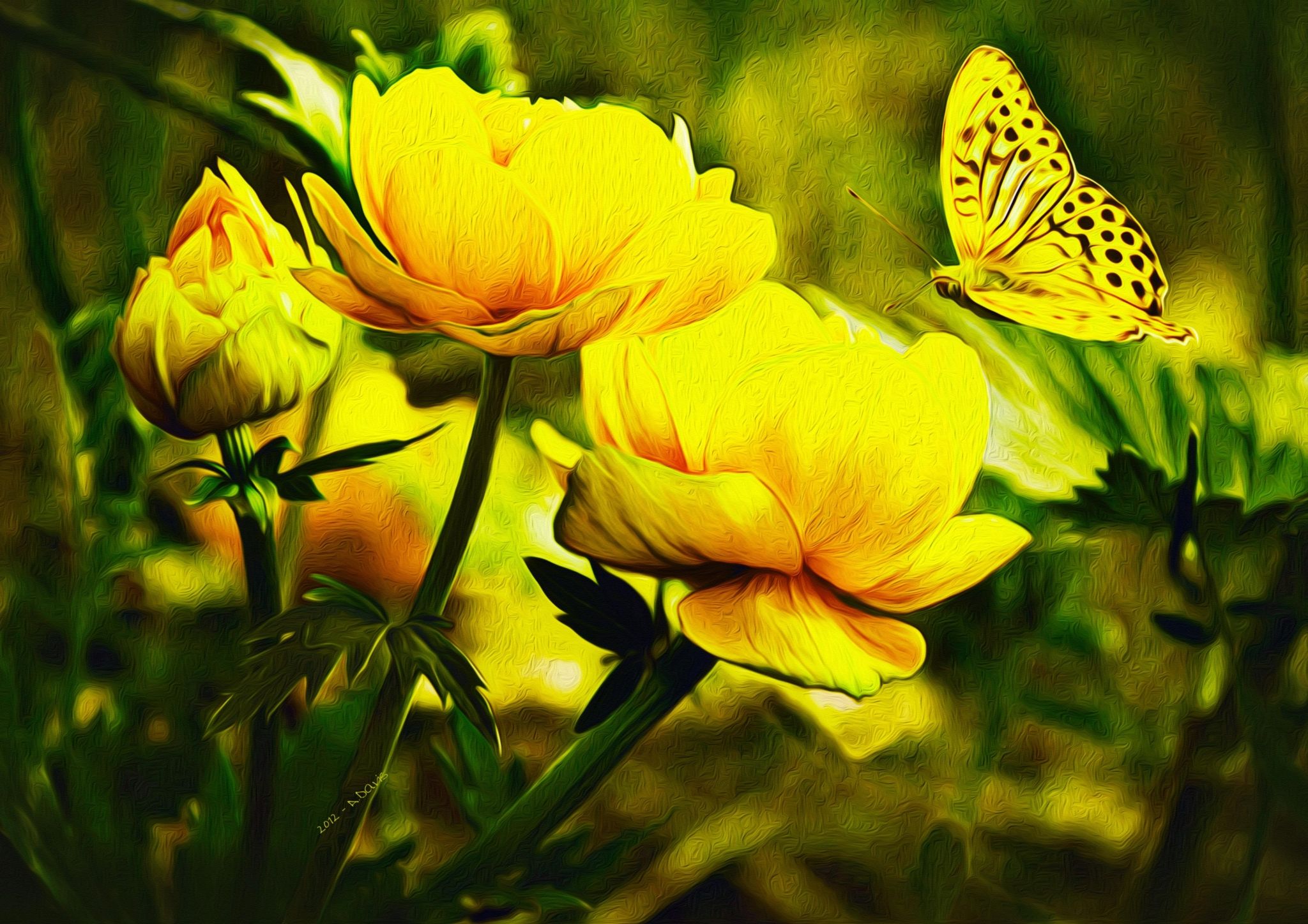Farfalla e fiori gialli, 2048x1448 2K, PC Desktop