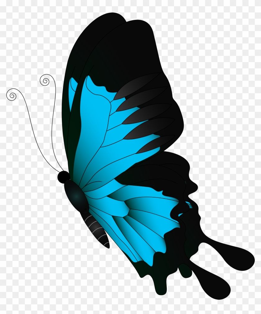 Farfalla blu e nera clipart, 840x1011 Full HD Verticale, iPhone