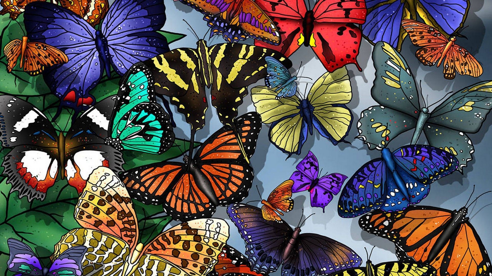 Farfalle colorate multiple specie, 1920x1080 Full HD, PC