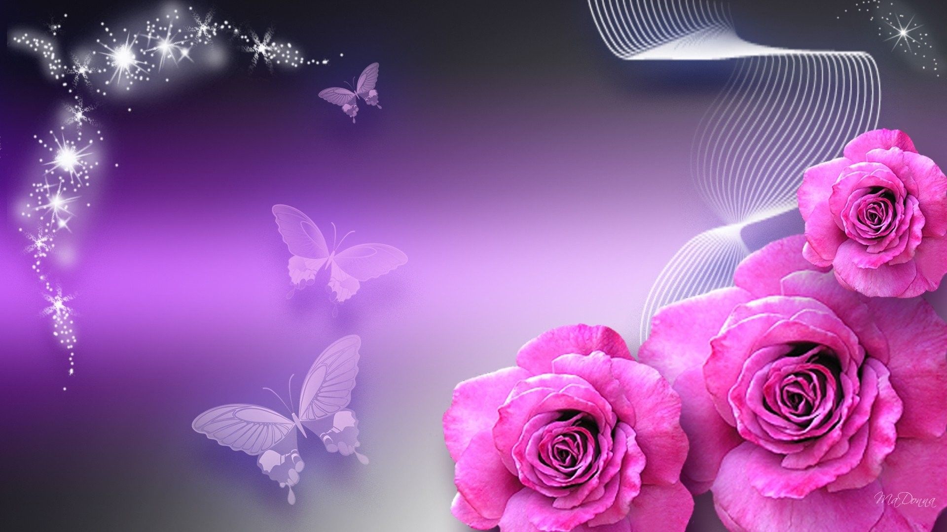 Farfalle e rose rosa viola, 1920x1080 Full HD, PC Desktop