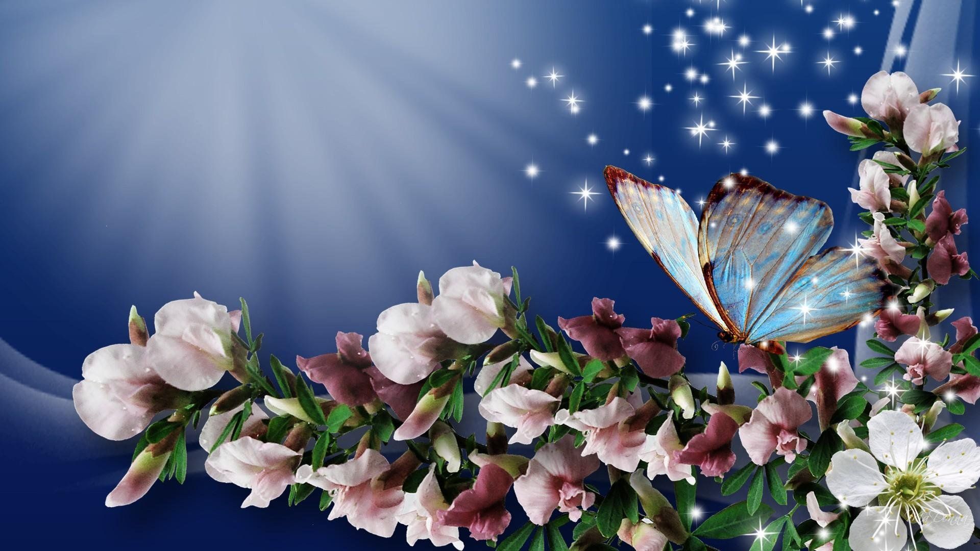 Farfalla su ramo di fiori, 1920x1080 Full HD 1080p, Desktop