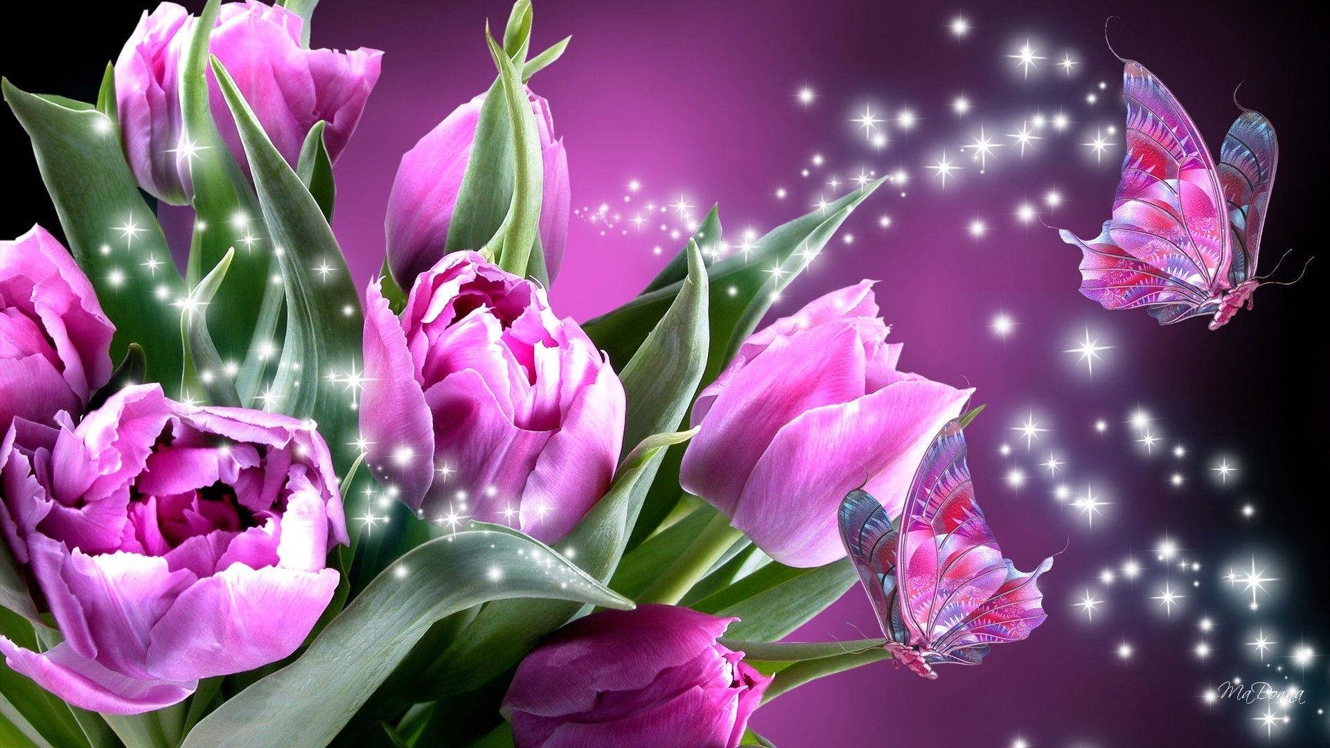 Farfalle rosa e tulipani viola, 1920x1080 Full HD 1080p, Monitor Gaming