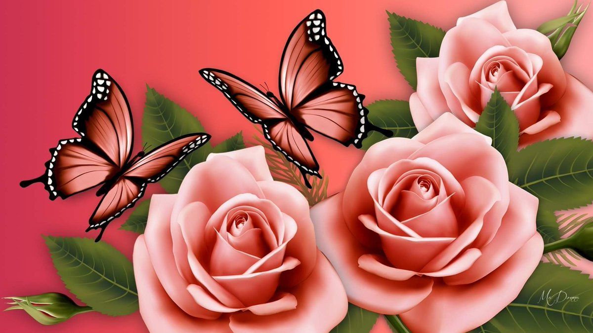 Farfalle rosa e rose, 1200x675 HD, PC