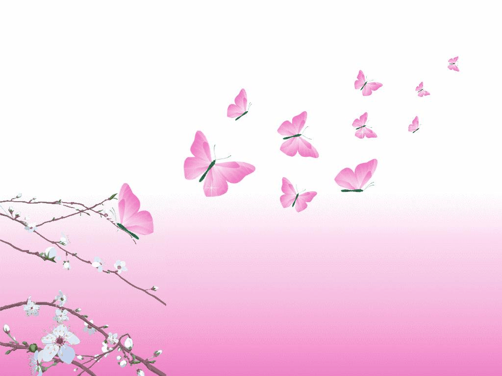 Farfalle rosa e ramo fiorito, 1024x768 HD, iMac