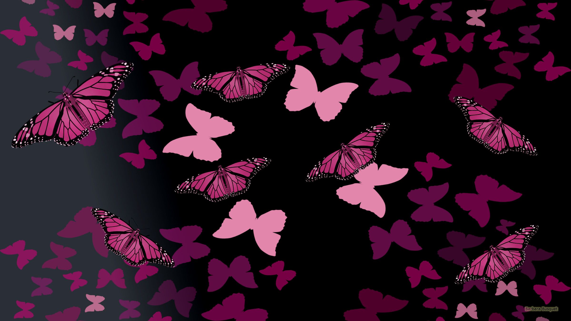 Farfalle rosa su nero, 2400x1350 Hi-Res, Desktop