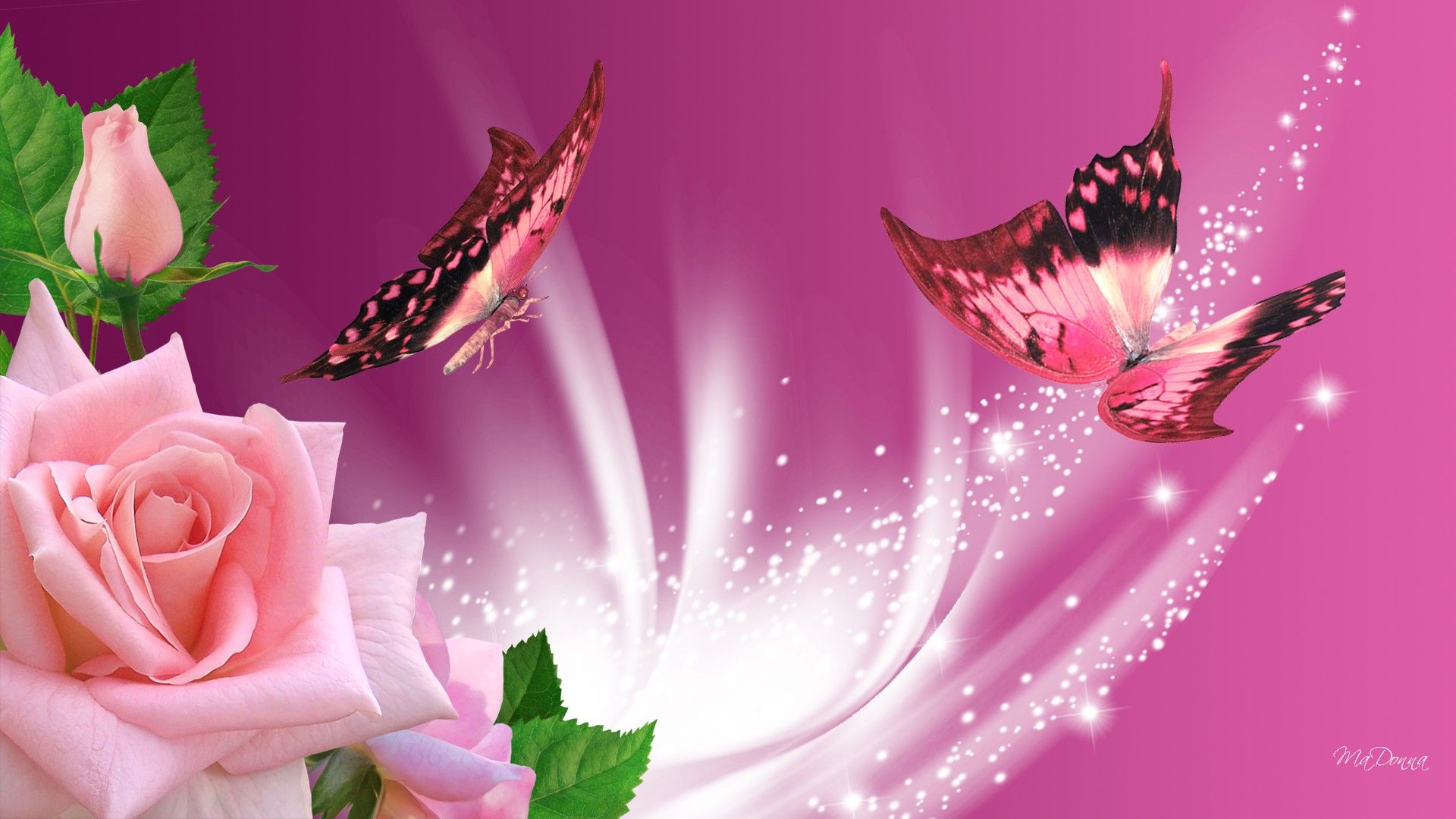 Farfalle rosa e rosa fiore, 1920x1080 Full HD, PC Desktop