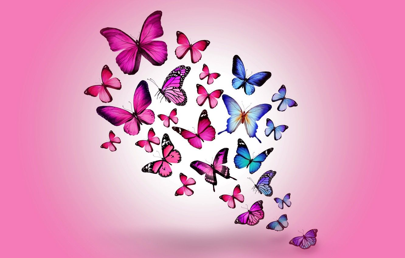 Farfalle rosa e blu colorate, 1332x850 720p, PC