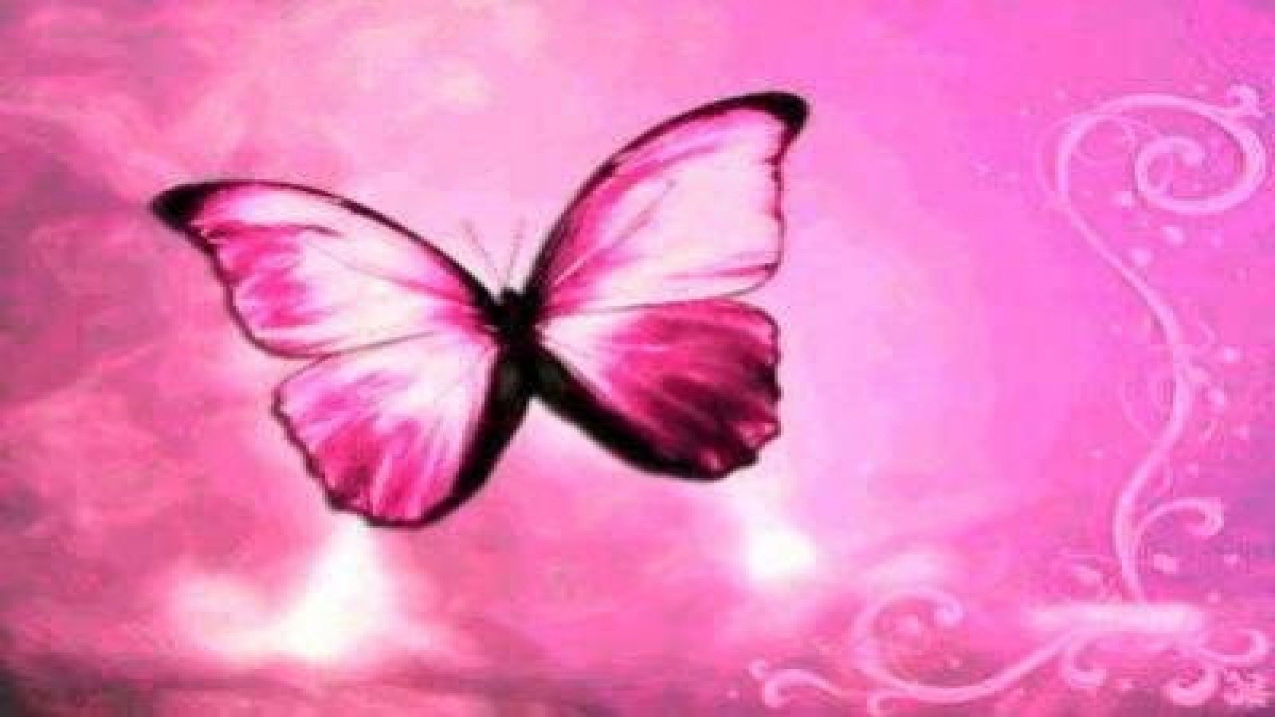 Farfalla rosa sfondo astratto, 2560x1440 1440p, Desktop