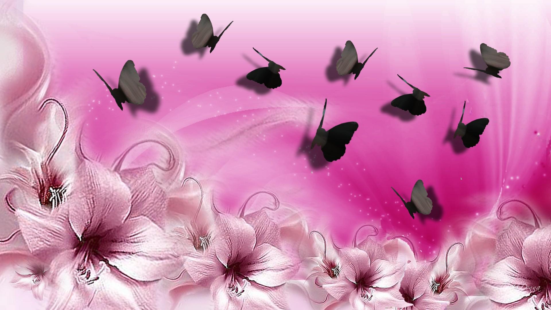 Farfalle nere su fiori rosa, 1920x1080 Full HD 1080p, Desktop