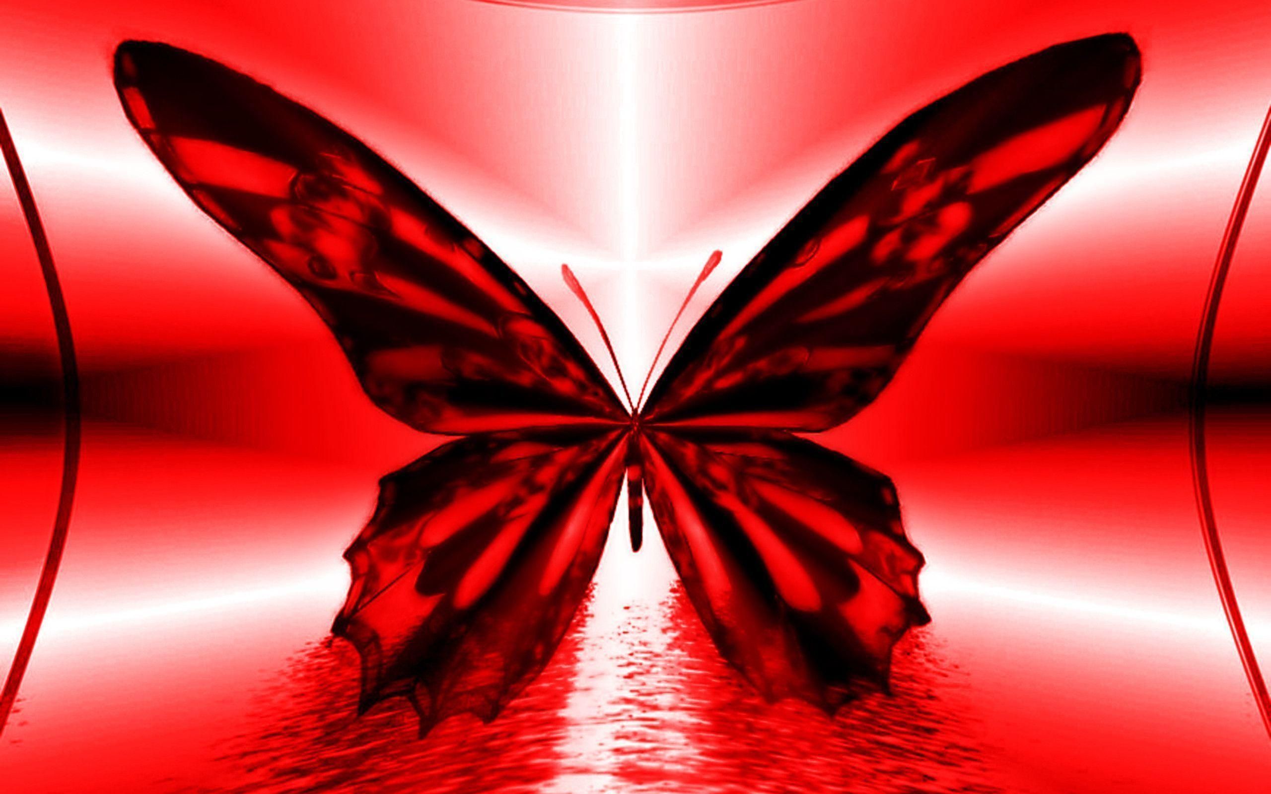 Farfalla rossa e nera astratta, 2560x1600 WQXGA, Desktop