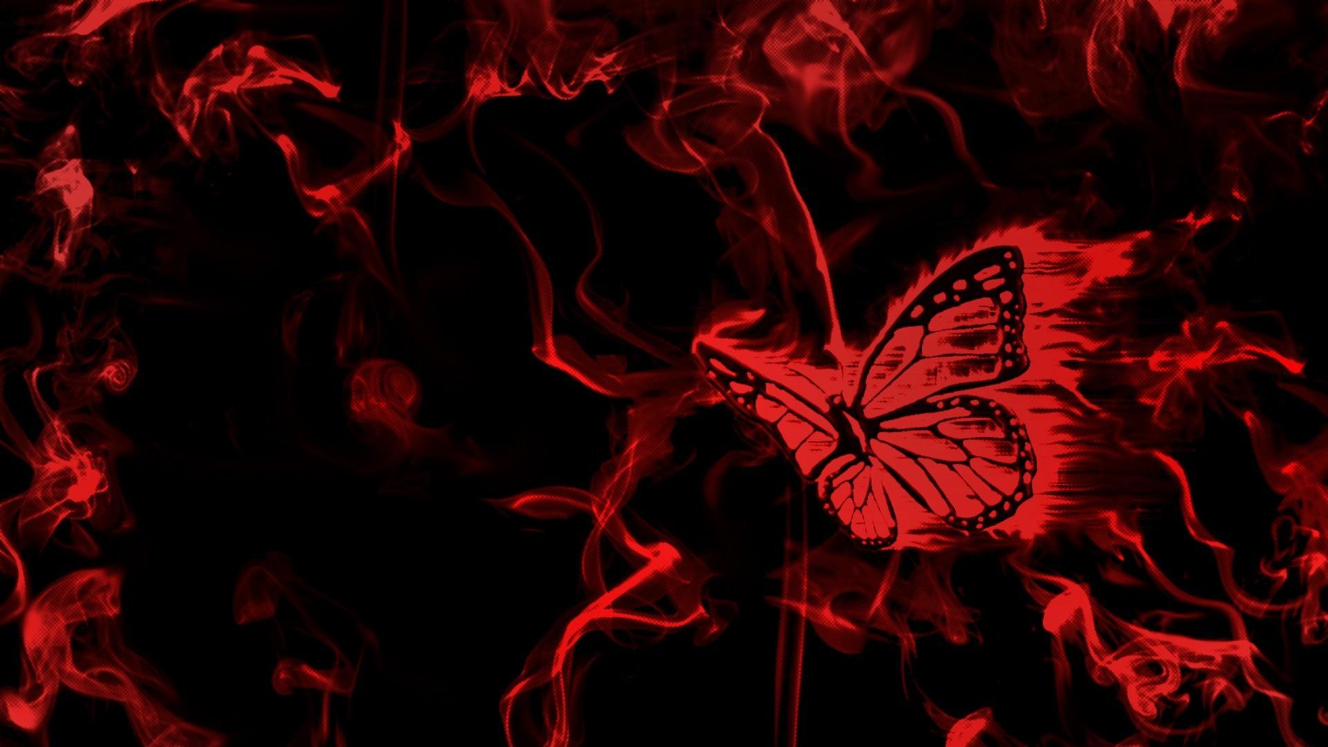Farfalla rossa e nera, 1920x1080 Full HD, PC