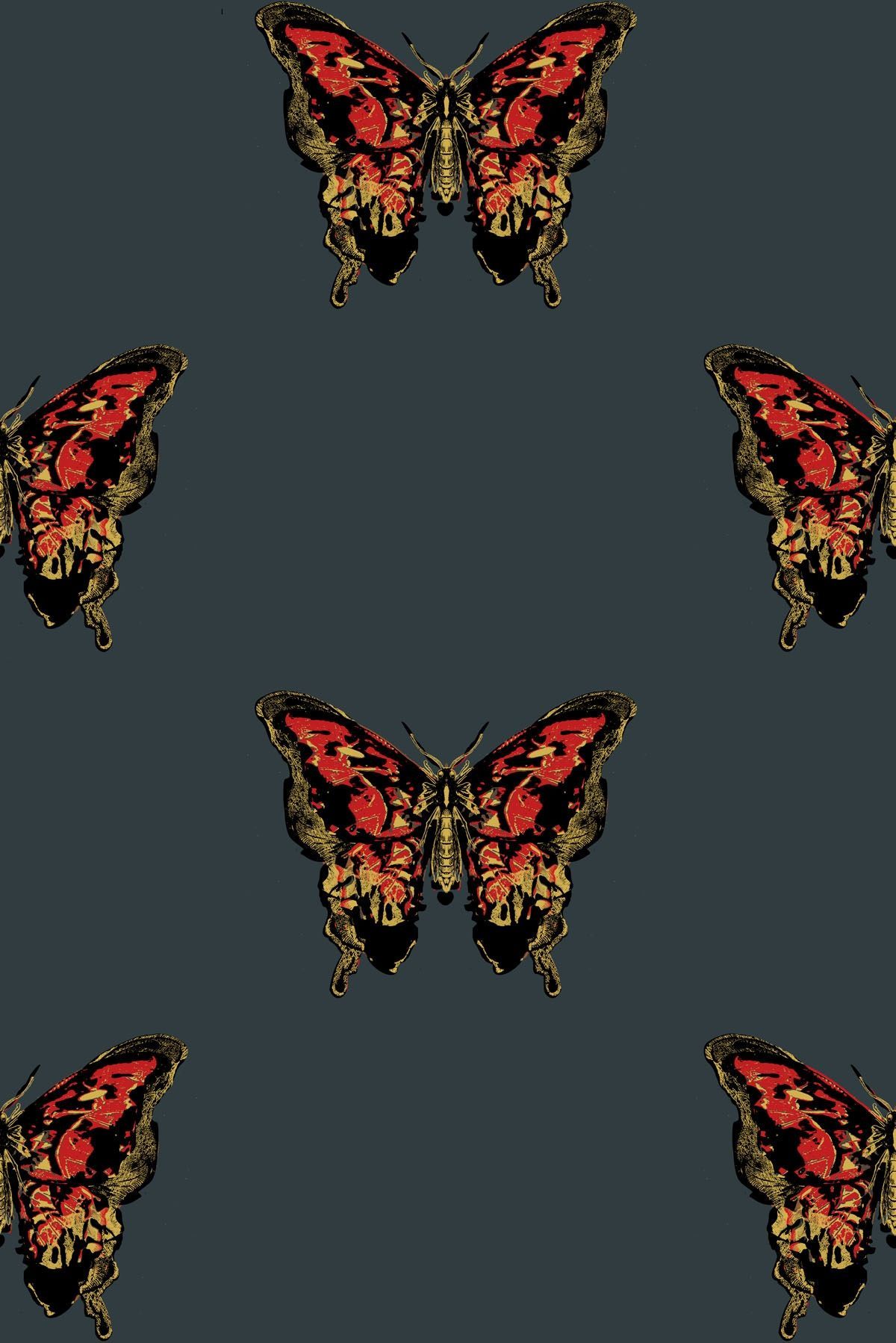 Farfalle rosse e nere, 1200x1798 Full HD Verticale, Smartphone