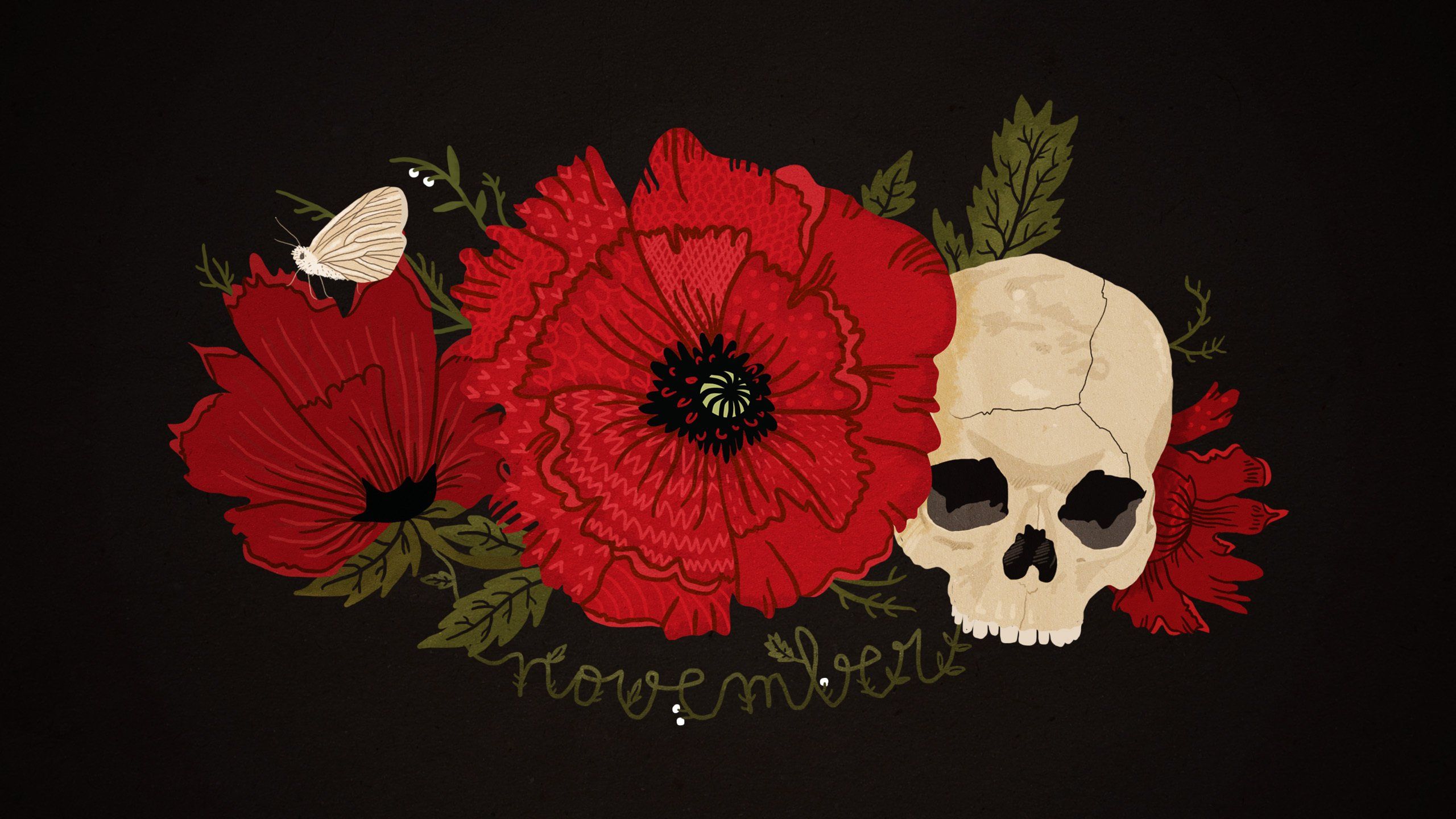 Teschio papaveri rossi farfalla, 2560x1440 2K, Desktop