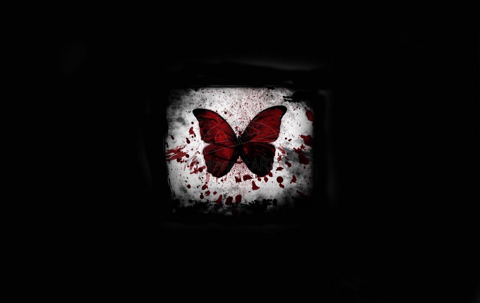 Farfalla rossa e nera, 1600x1010 900p, Desktop