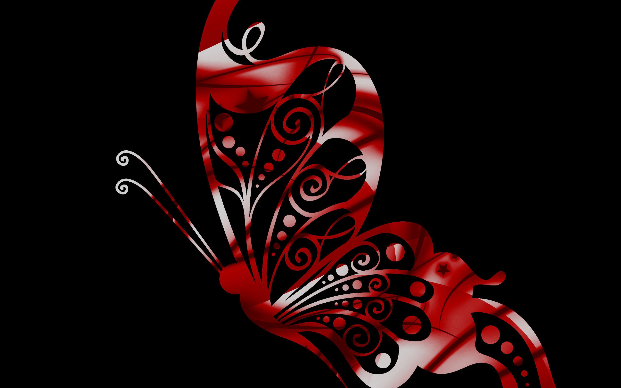 Farfalla rossa e nera, 2560x1600 2K, Desktop
