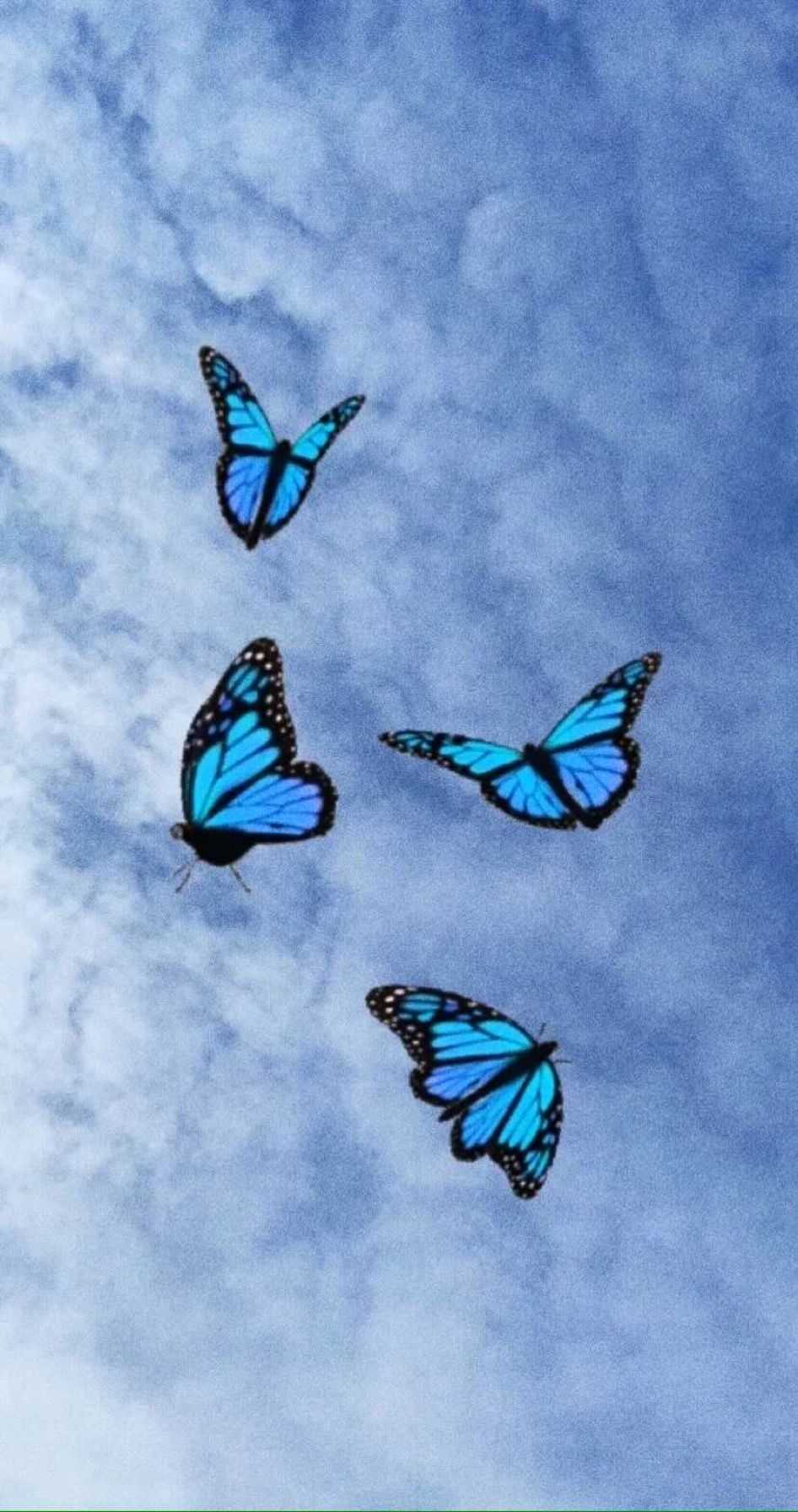 Farfalle blu nel cielo, 946x1792 Full HD Verticale, iPhone