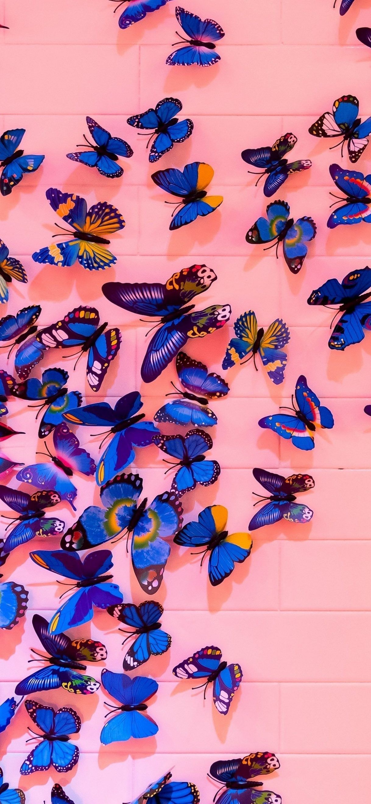 Farfalle blu su parete rosa, 1218x2636 Full HD Verticale, Smartphone