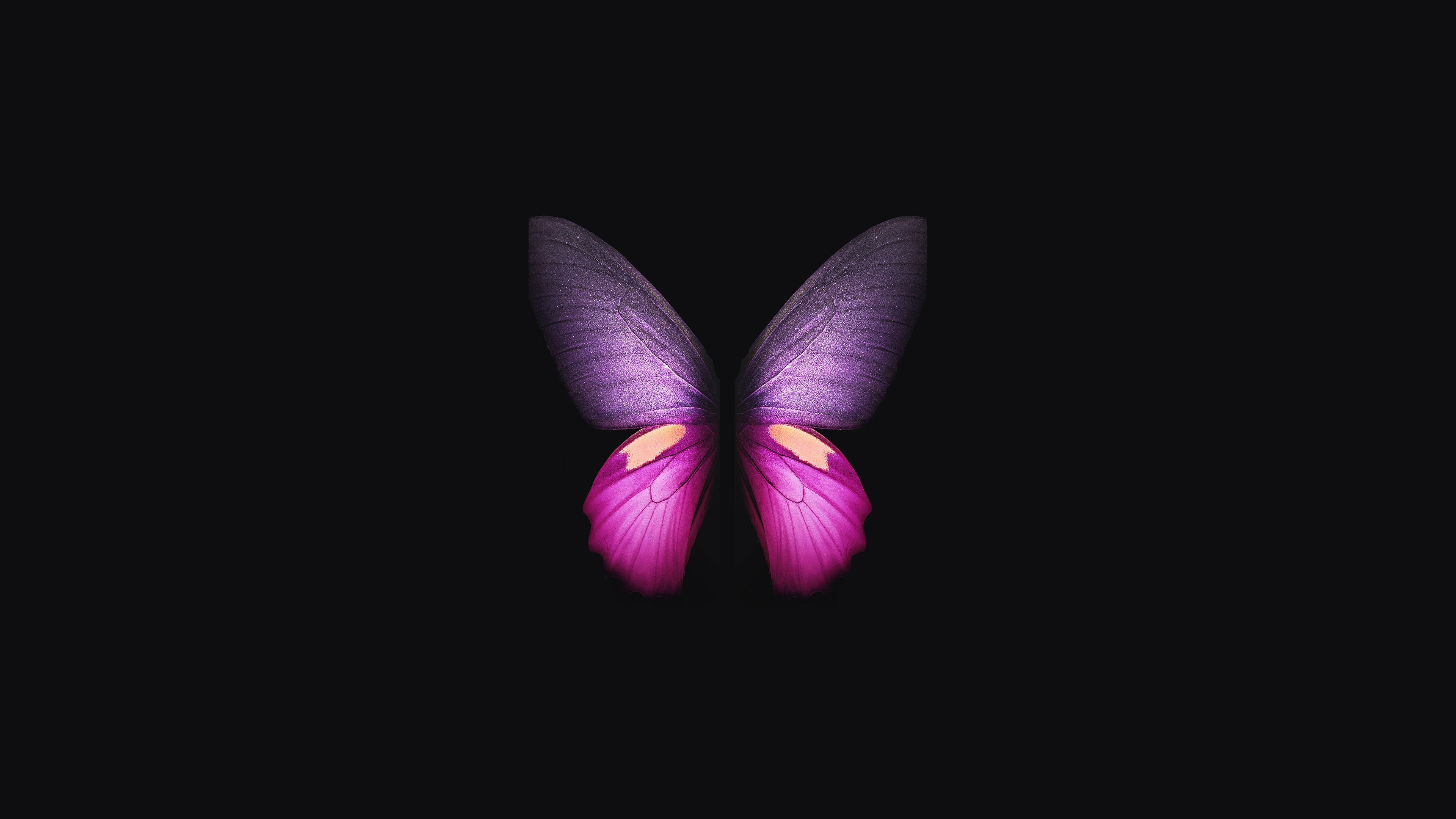 Farfalla viola rosa sfondo nero, 3840x2160 Ultra HD, Monitor 4K