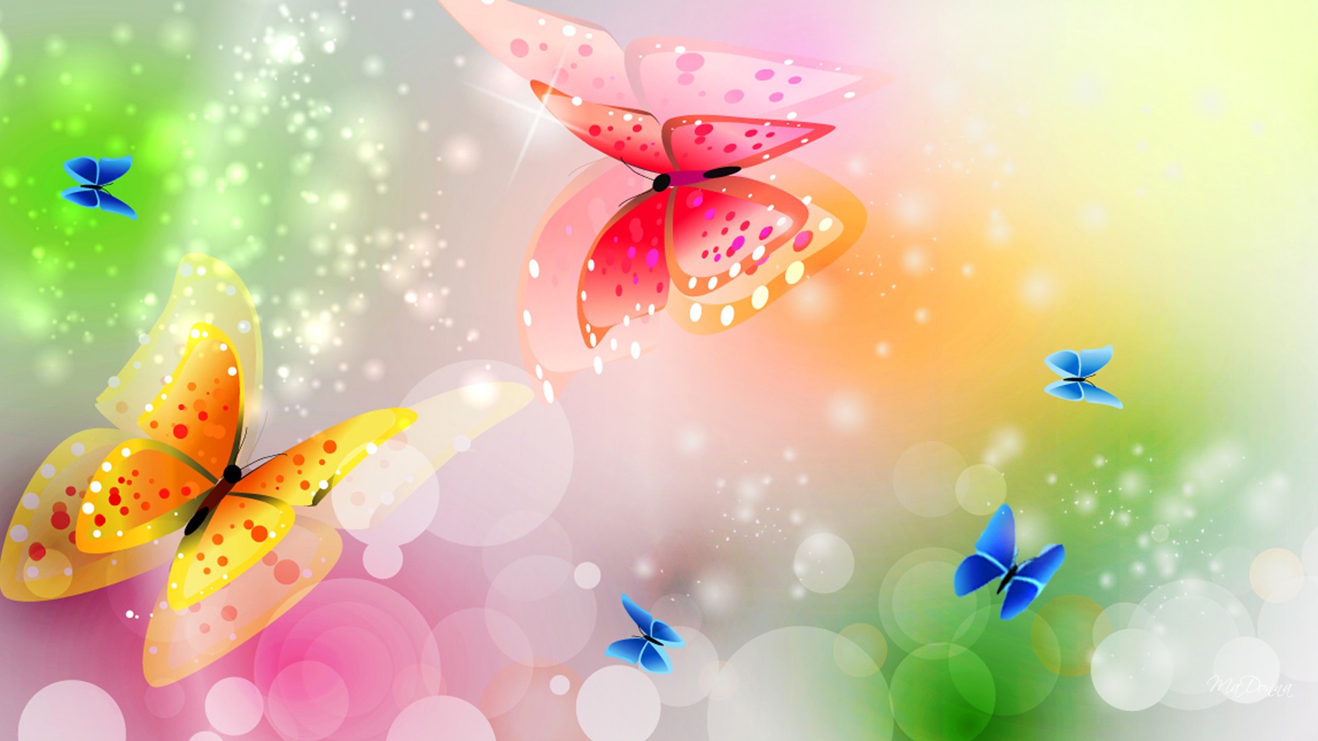 Farfalle colorate su sfondo bokeh, 1920x1080 Full HD 1080p, Desktop