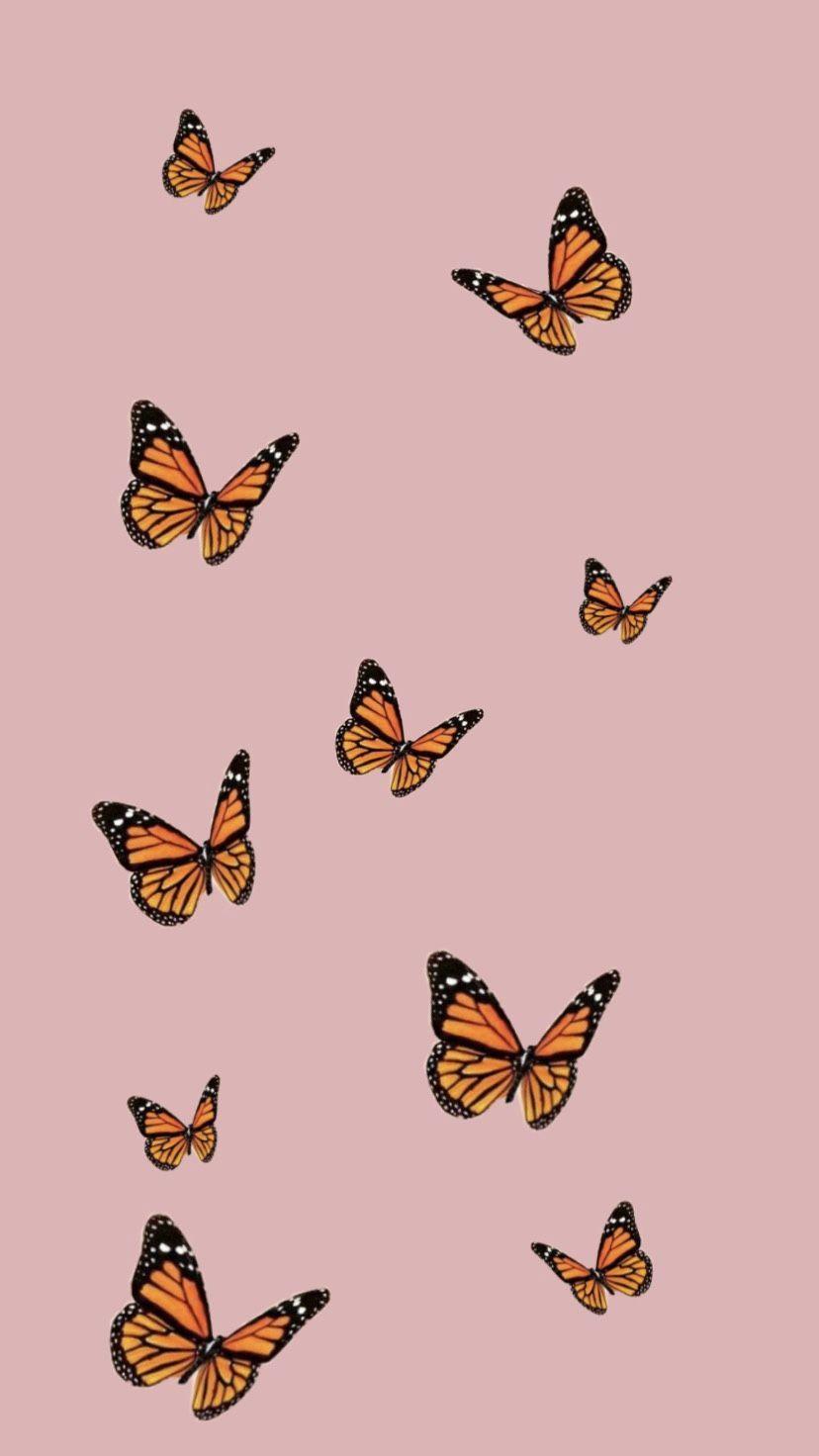 Farfalle arancioni su rosa, 828x1472 Full HD Verticale, Smartphone