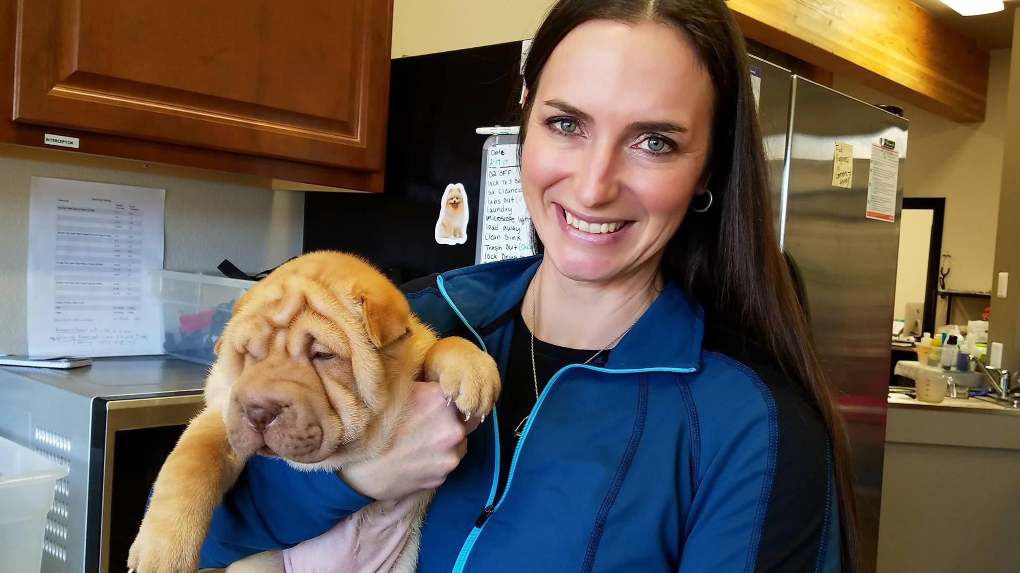 Persone con cuccioli in clinica, 1024x768 HD, PC