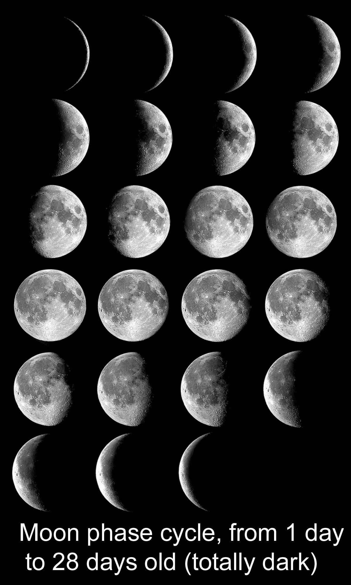 Ciclo fasi lunari 28 giorni, 1200x2000 Full HD Verticale, iPhone