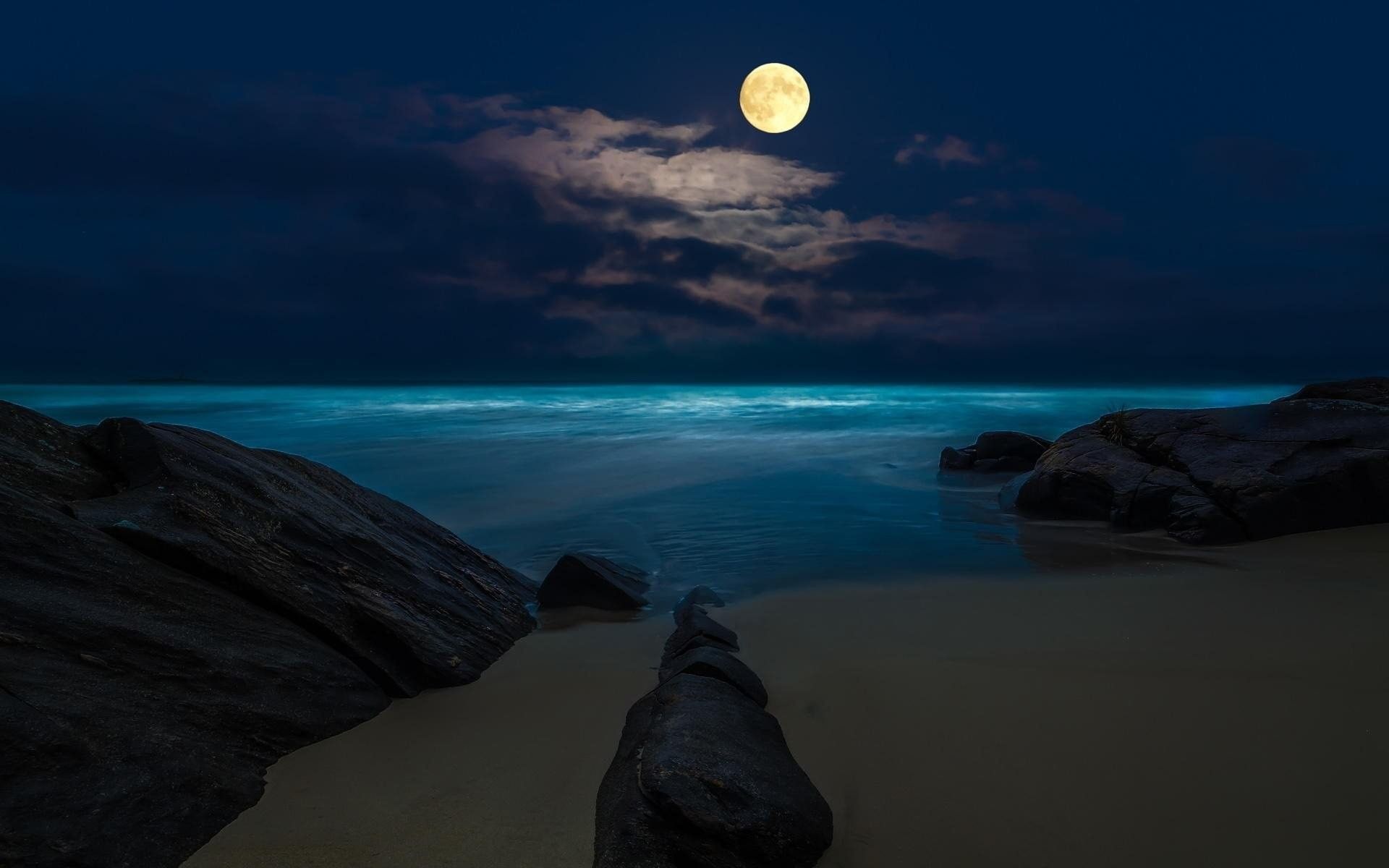 Luna piena su spiaggia notturna, 1920x1200 Full HD+ WUXGA, Laptop