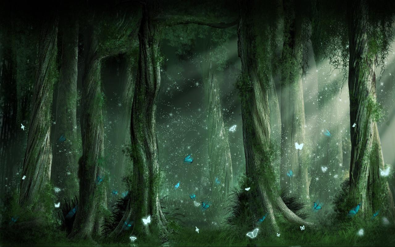 Foresta magica con farfalle luminose, 1280x800 HD, Desktop
