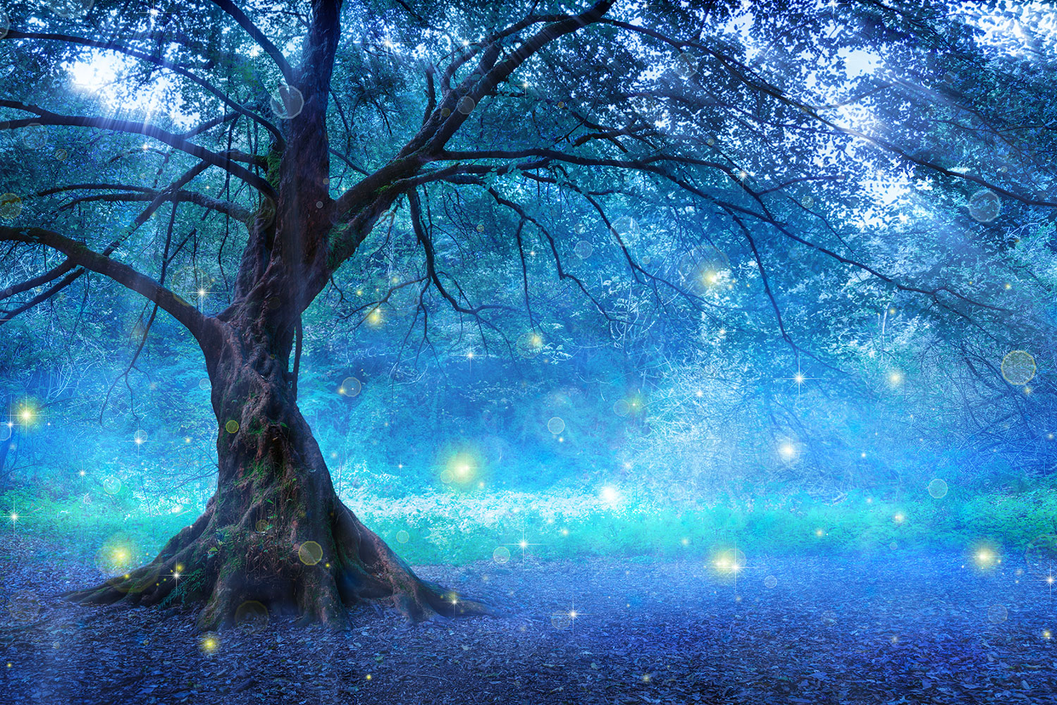 Albero magico blu luminescente, 1500x1000 720p, PC