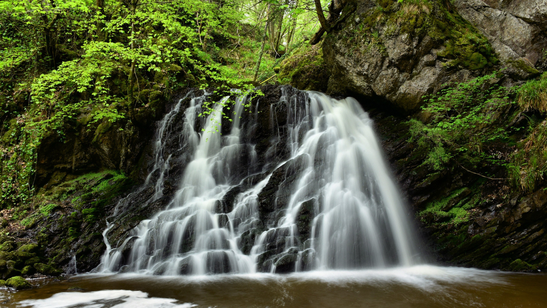 Cascata nella foresta verde, 1920x1080 Full HD, Desktop