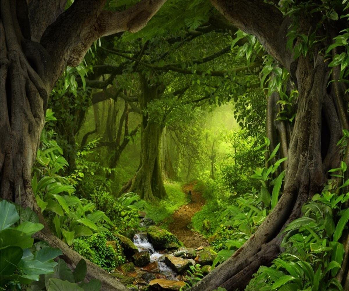 Foresta magica verde lussureggiante, 1200x1000 HD, Laptop