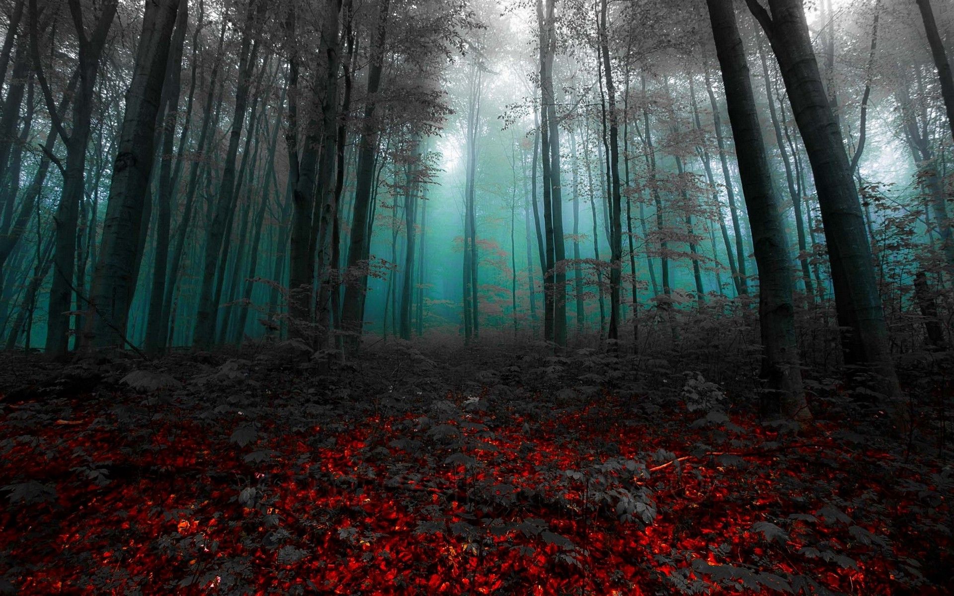 Foresta nebbiosa con foglie rosse, 1920x1200 Full HD+, PC