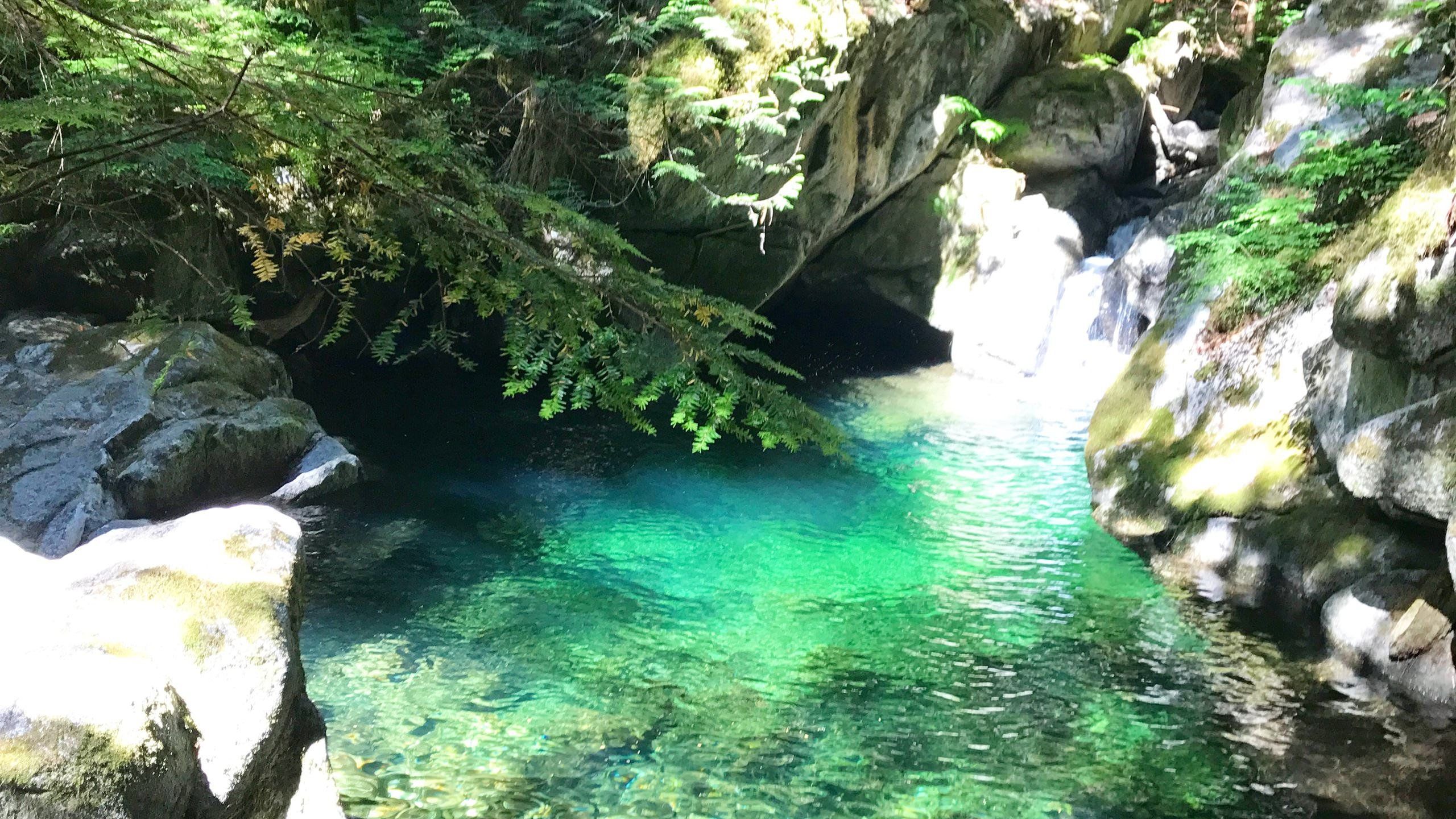 Laguna verde smeraldo nella foresta, 2560x1440 QHD, Laptop
