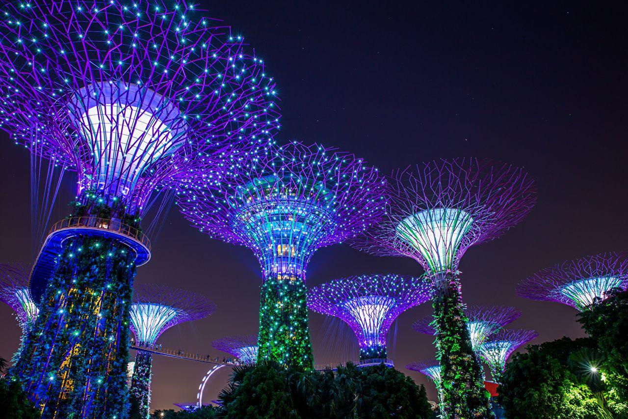 Gardens by the Bay Singapore notturno, 1280x853 HD, Desktop