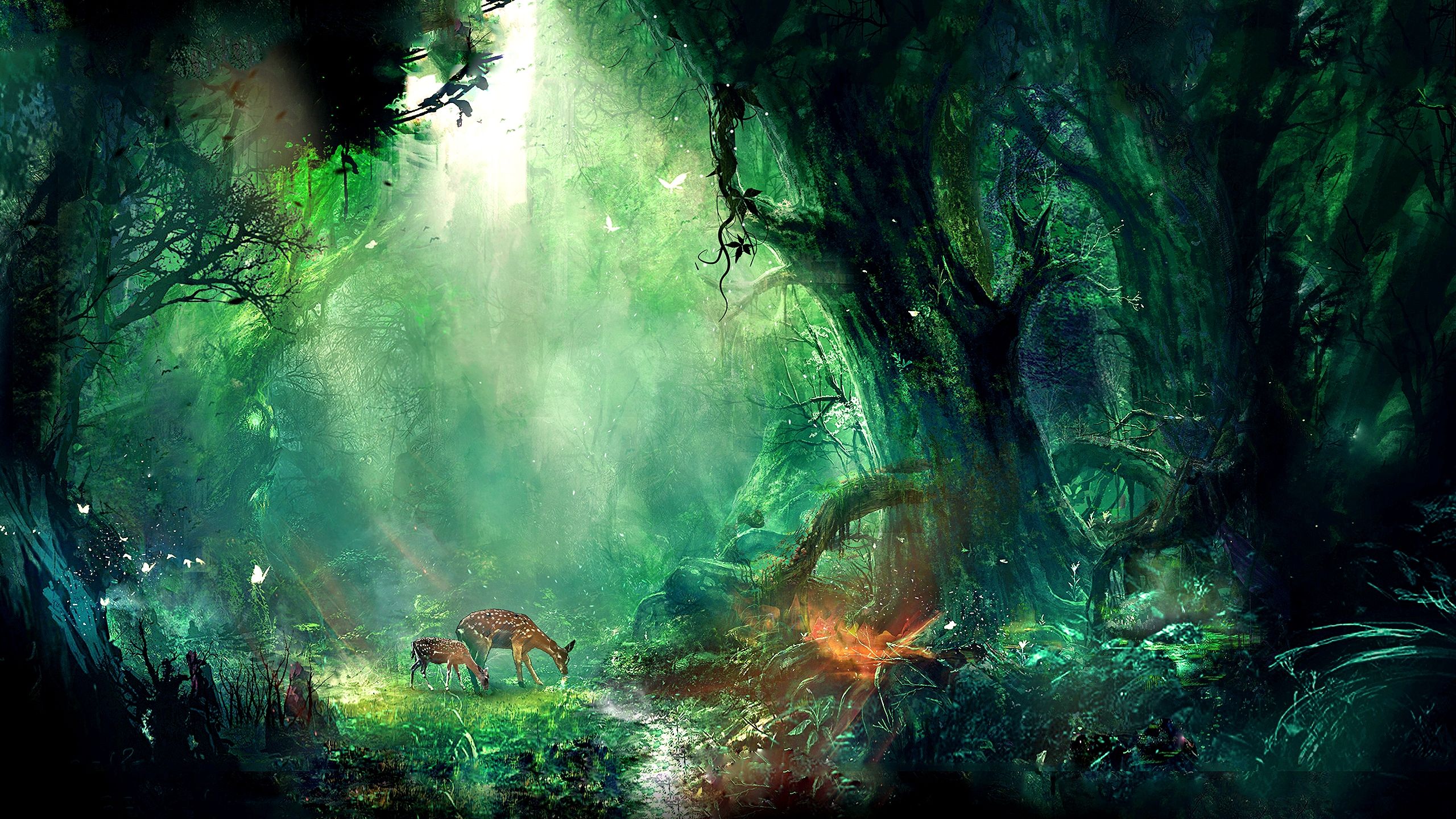 Foresta magica con cervi, 2560x1440 1440p, Desktop