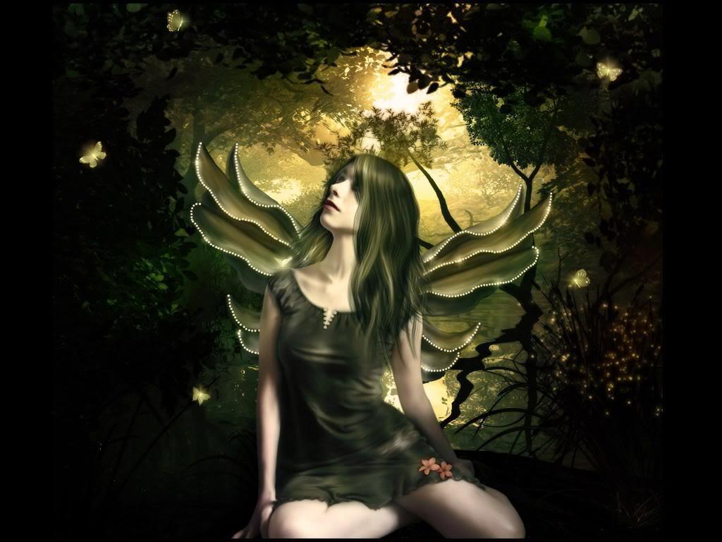 Fate e Farfalle, 1024x768 HD, Desktop