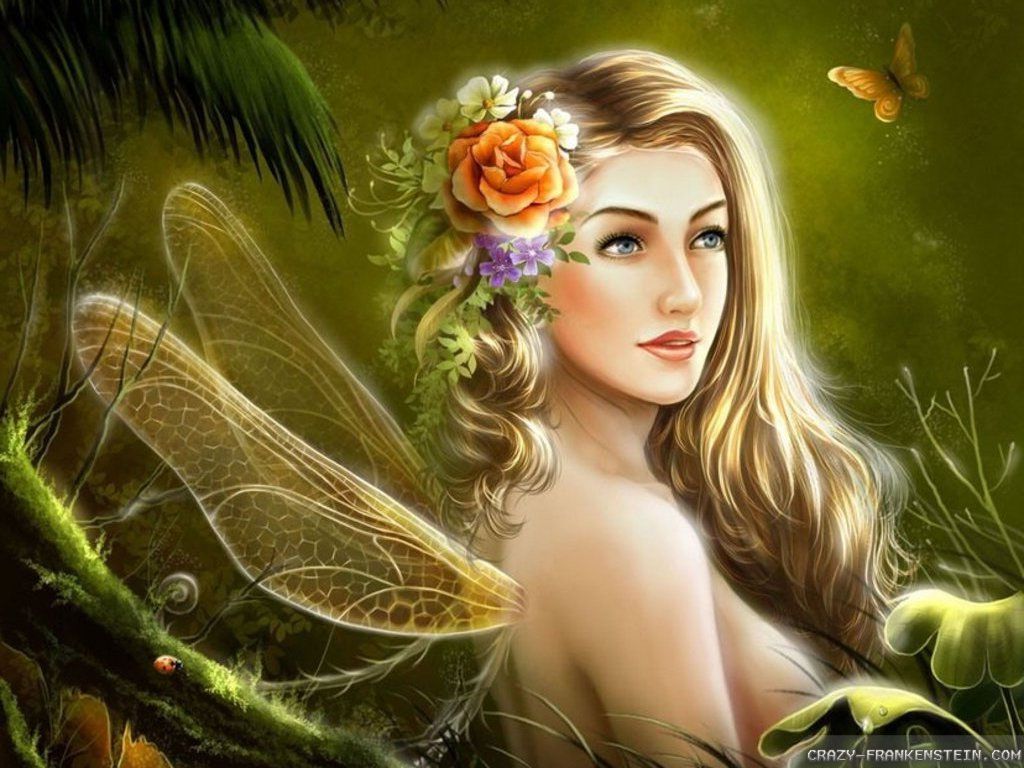 Fata con ali di libellula, 1024x768 HD, PC
