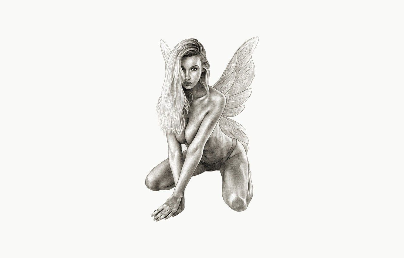 Fata farfalla disegno matita, 1332x850 720p, PC