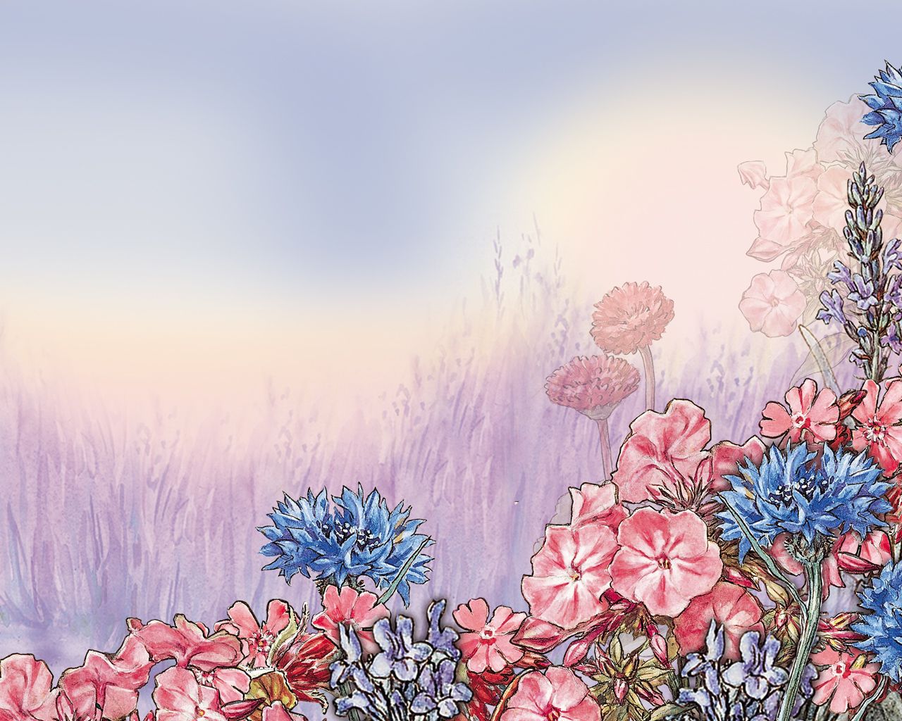 Fiori rosa e blu illustrati, 1280x1024 720p, Laptop