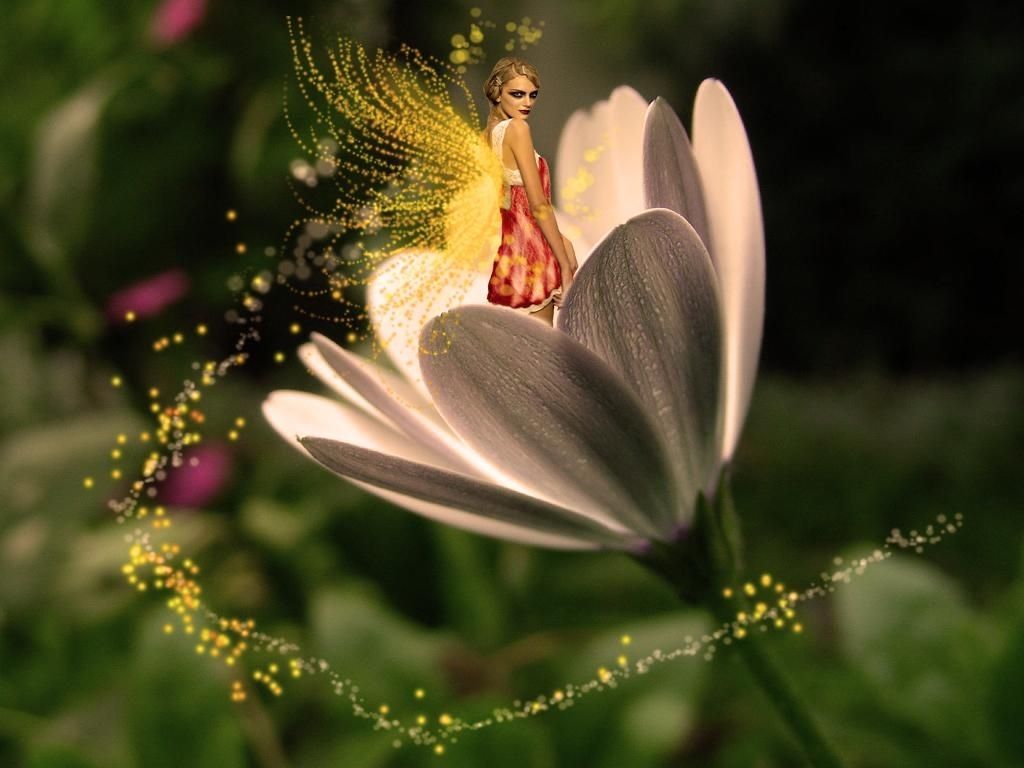 Fata seduta su fiore bianco, 1024x768 HD, Desktop