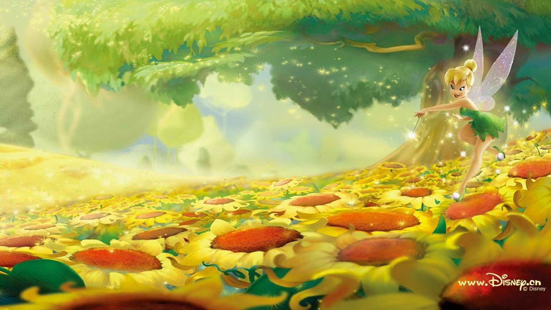 Trilly fata Disney foresta, 1920x1080 Full HD, Desktop
