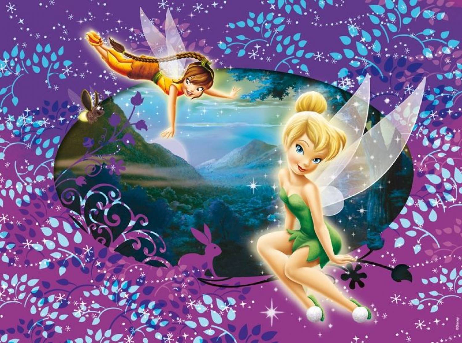 Trilli e fata Disney, 1500x1113 720p, Laptop