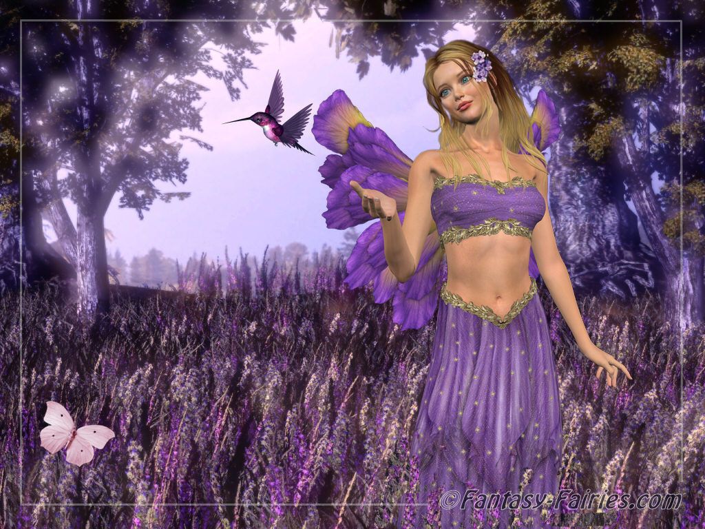 Fata viola con farfalla, 1024x768 HD, Laptop