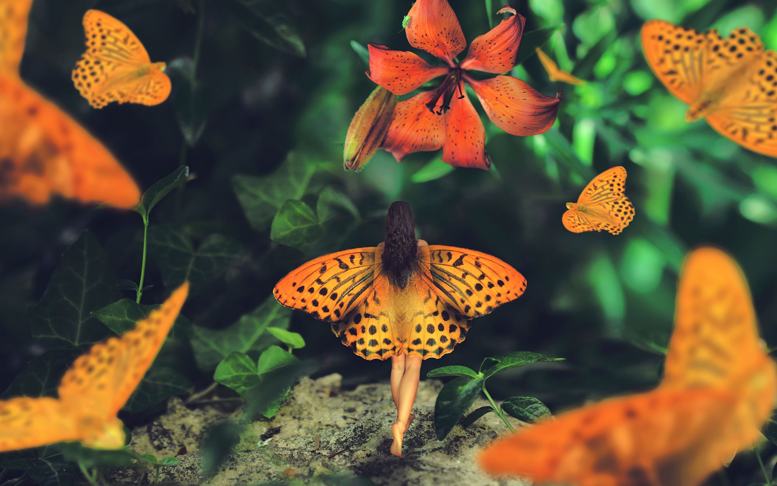 Fata farfalla arancione fiori, 2560x1600 2K, Laptop