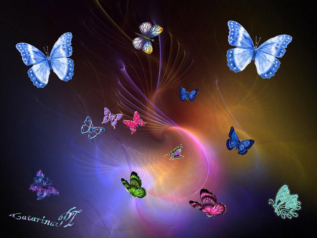 Farfalle colorate su sfondo scuro, 1024x768 HD, Desktop