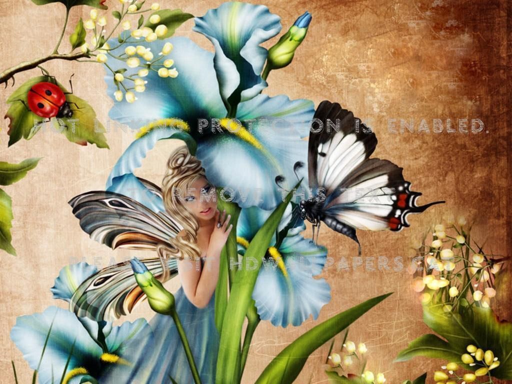 Fata con farfalle e iris blu, 1024x768 HD, Desktop