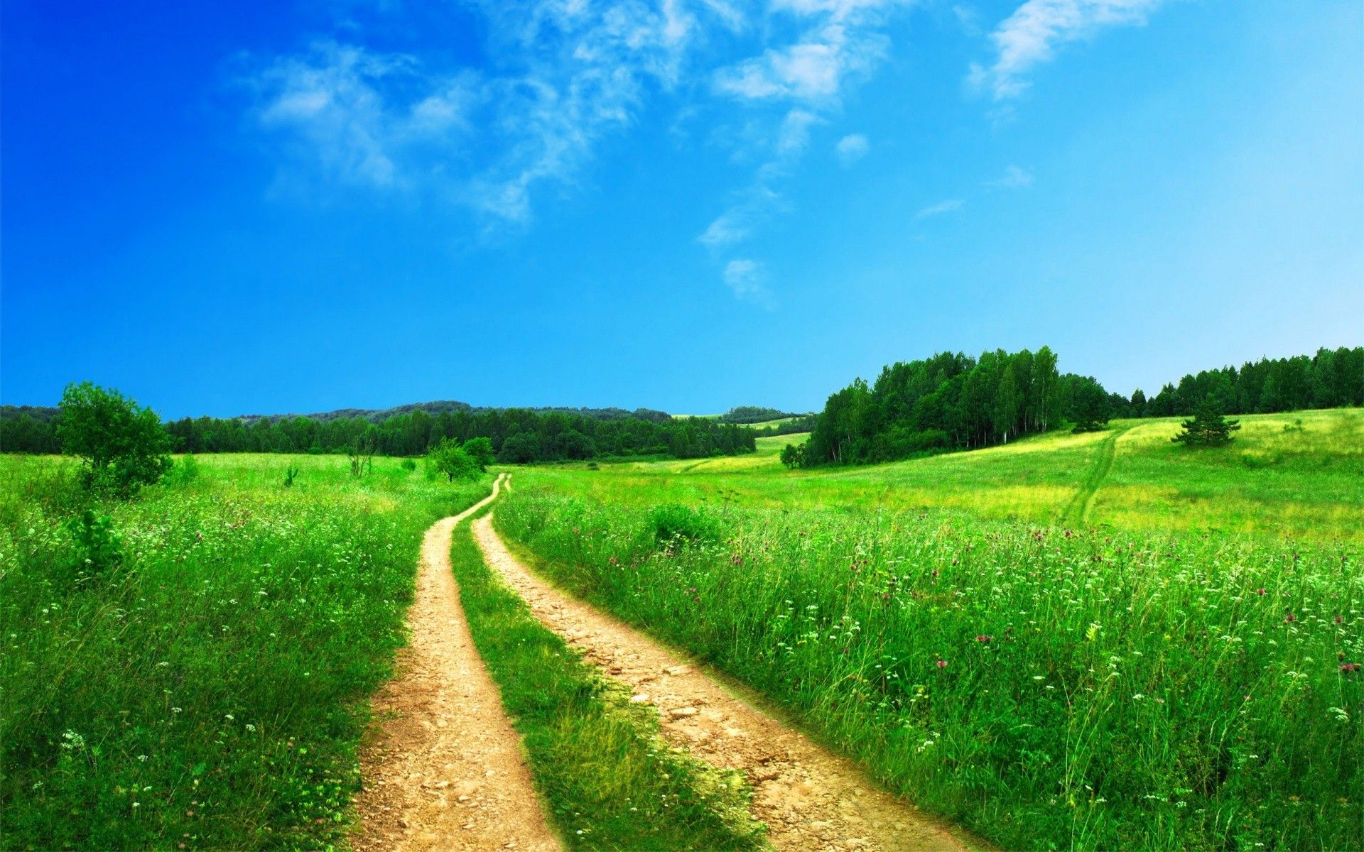 Sentiero campo verde estivo, 1920x1200 Full HD+ WUXGA, Laptop