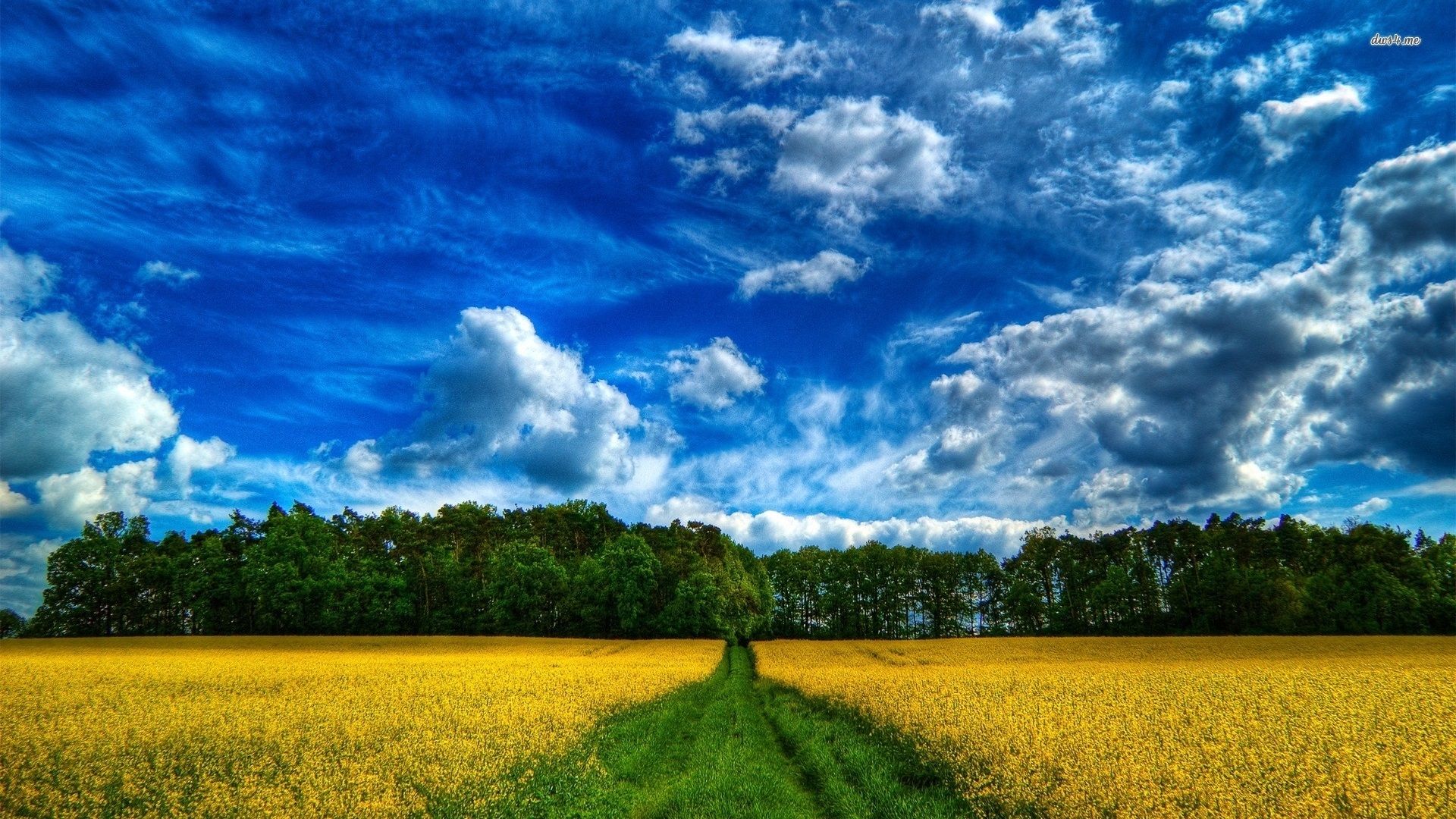 Campo verde con alberi e cielo, 1920x1200 Full HD+ WUXGA, iMac